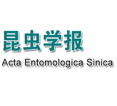 AES